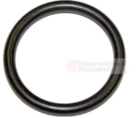 K68321481AA Fiat/Alfa/Lancia Anel de vedação de cano derivado do radiador